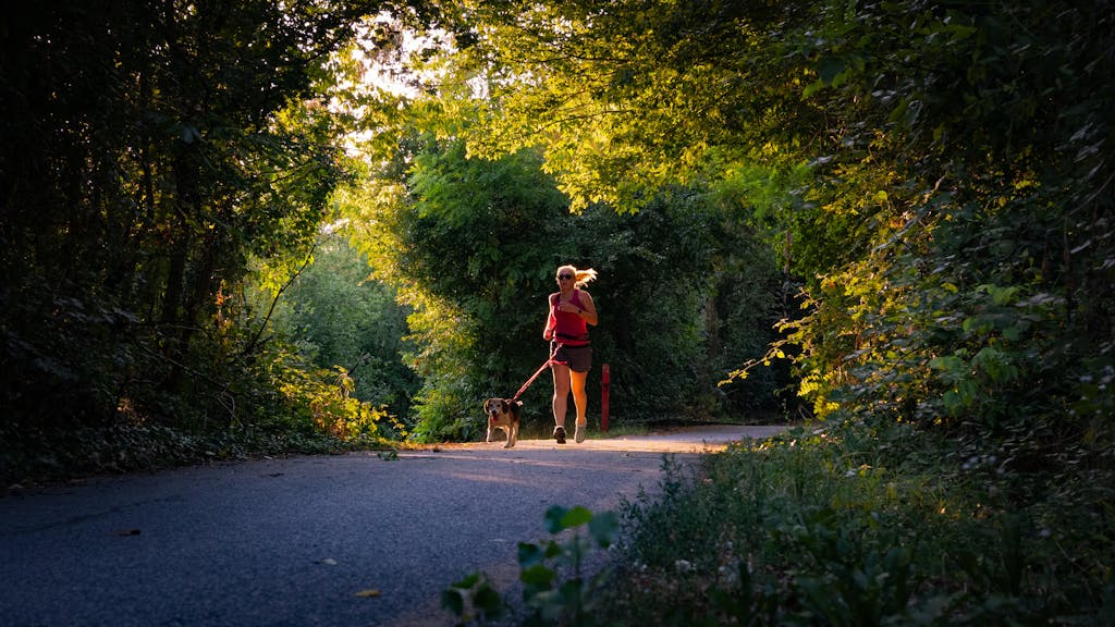 A woman walking her dog down a road in the woods